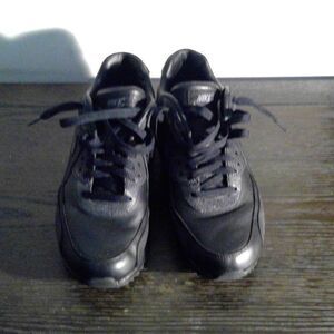 WMNS Air Max 90 Pinnacle